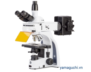 iScope IS.3153‑PLFi/6 Fluorescence Microscope
